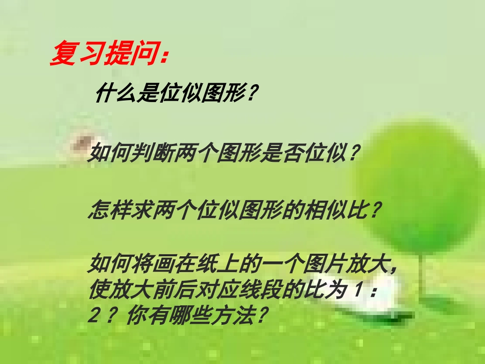 平面直角坐标系中的位似_第2页