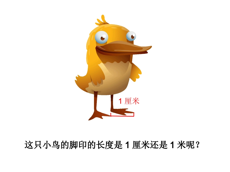 小学数学人教2011课标版二年级解决问题确定长度单位_第3页