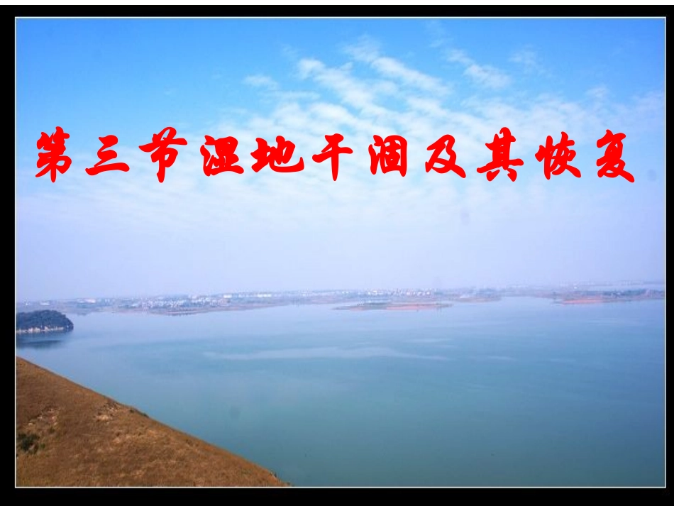 第三节-湿地干涸及其恢复_第1页