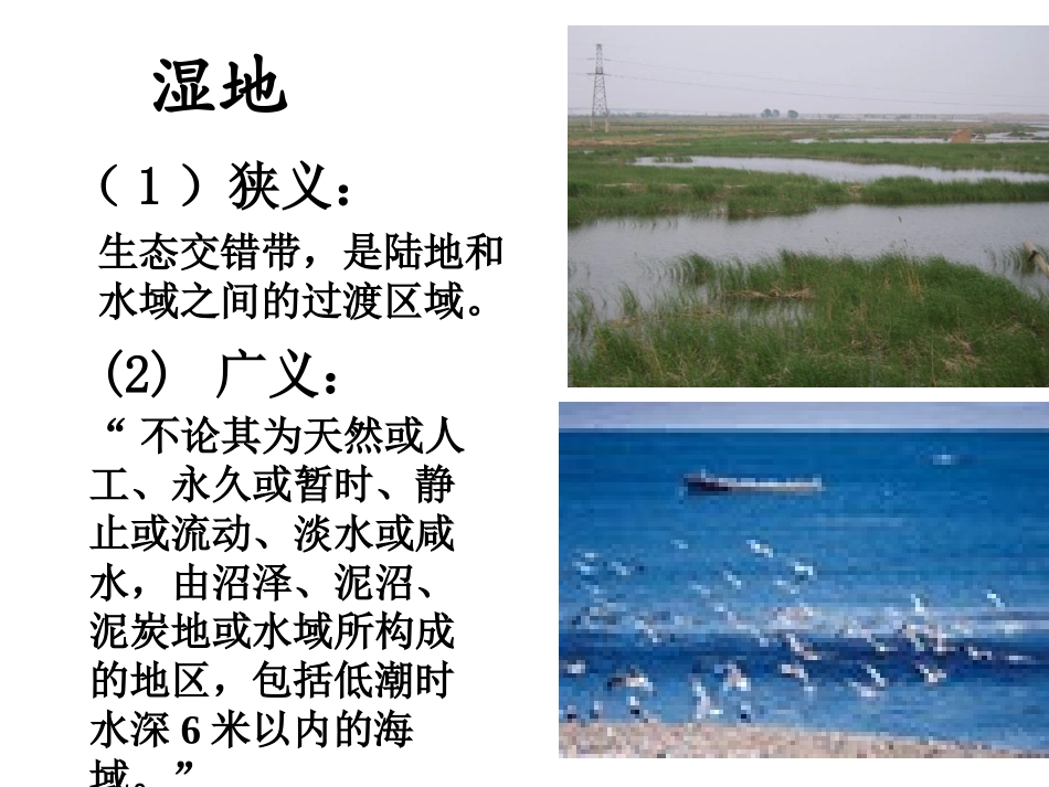 第三节-湿地干涸及其恢复_第2页