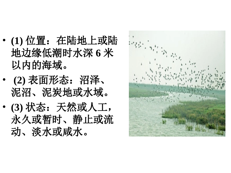 第三节-湿地干涸及其恢复_第3页