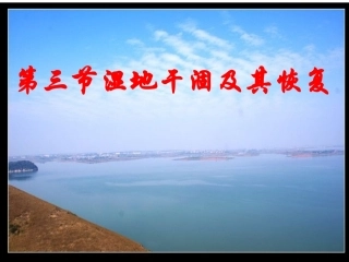 第三节-湿地干涸及其恢复