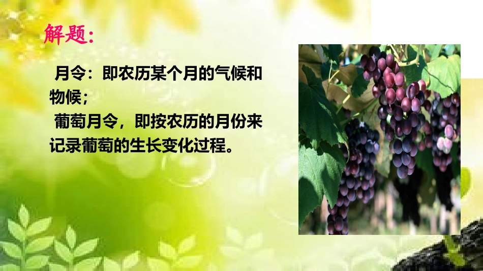 20葡萄月令_第2页