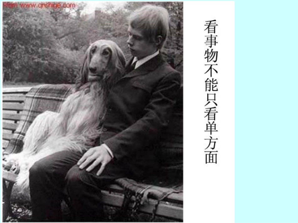 14从三个方向看物体的形状_第3页