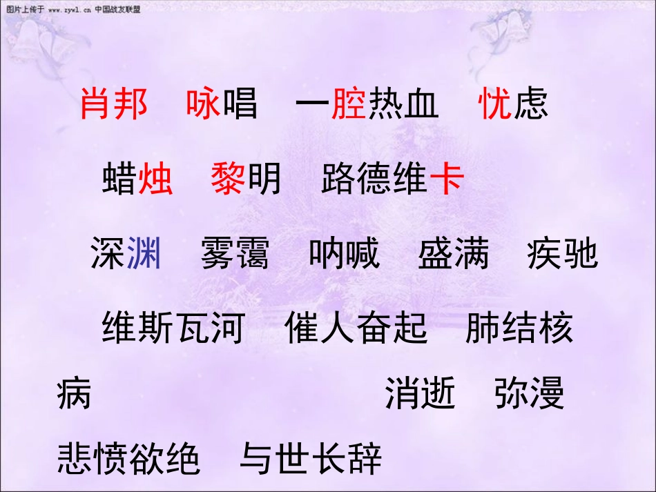 把我的心脏带回祖国(1)_第3页