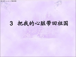 把我的心脏带回祖国(1)