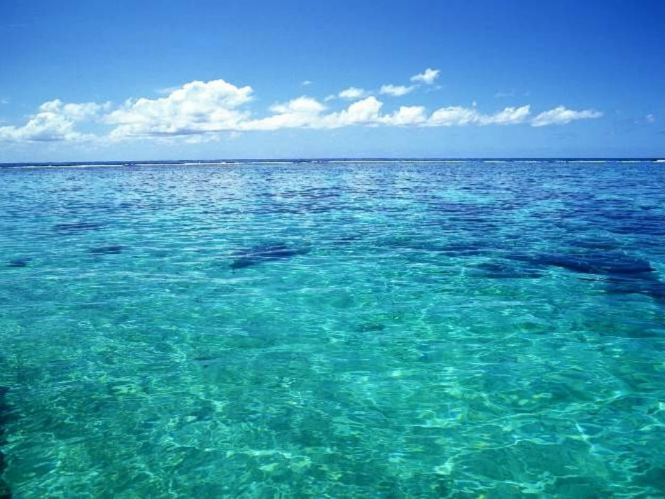 海底世界教案_第2页