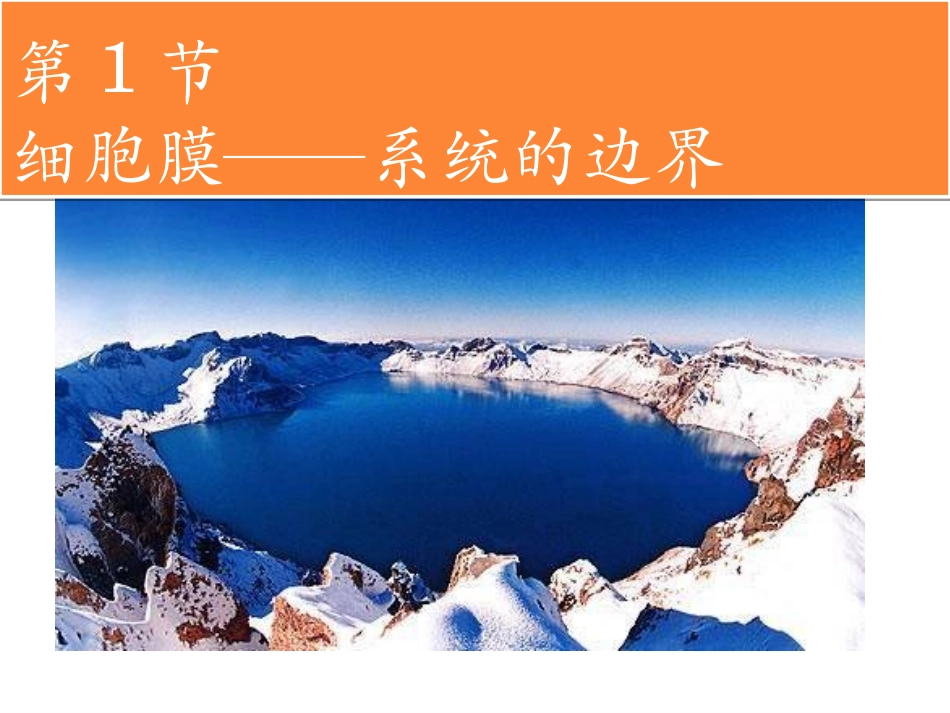 细胞的生物膜系统_第2页