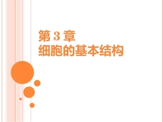 细胞的生物膜系统