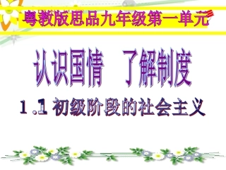 1.1初级阶段的社会主义