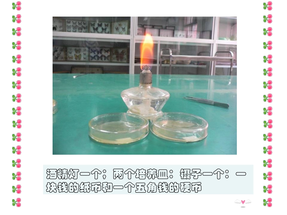 探究钱币上的细菌_第3页
