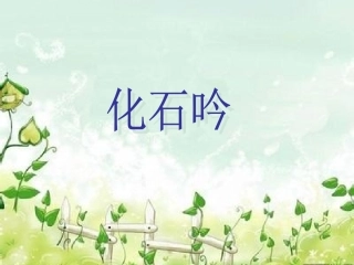 第21课-化石吟