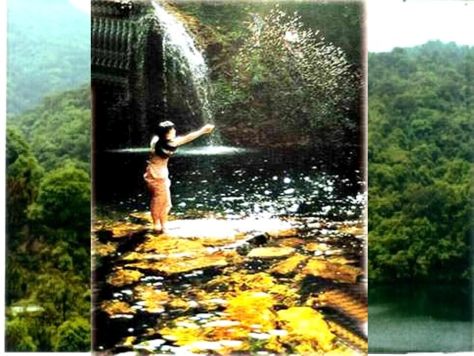 鼎湖山听泉课件_第2页