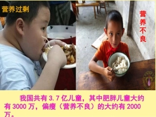 小学数学2011版本小学四年级《营养午餐》