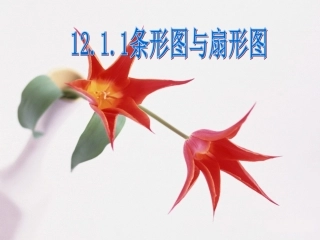 1211条形图与扇形图1