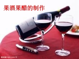 拓展视野-生长因子的发现推动了组织工程的发展