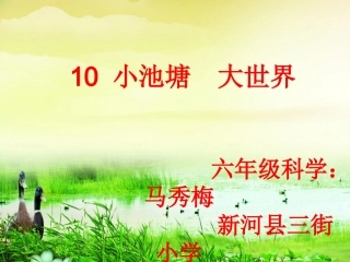 10小池塘大世界