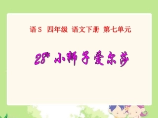 28小狮子爱尔莎