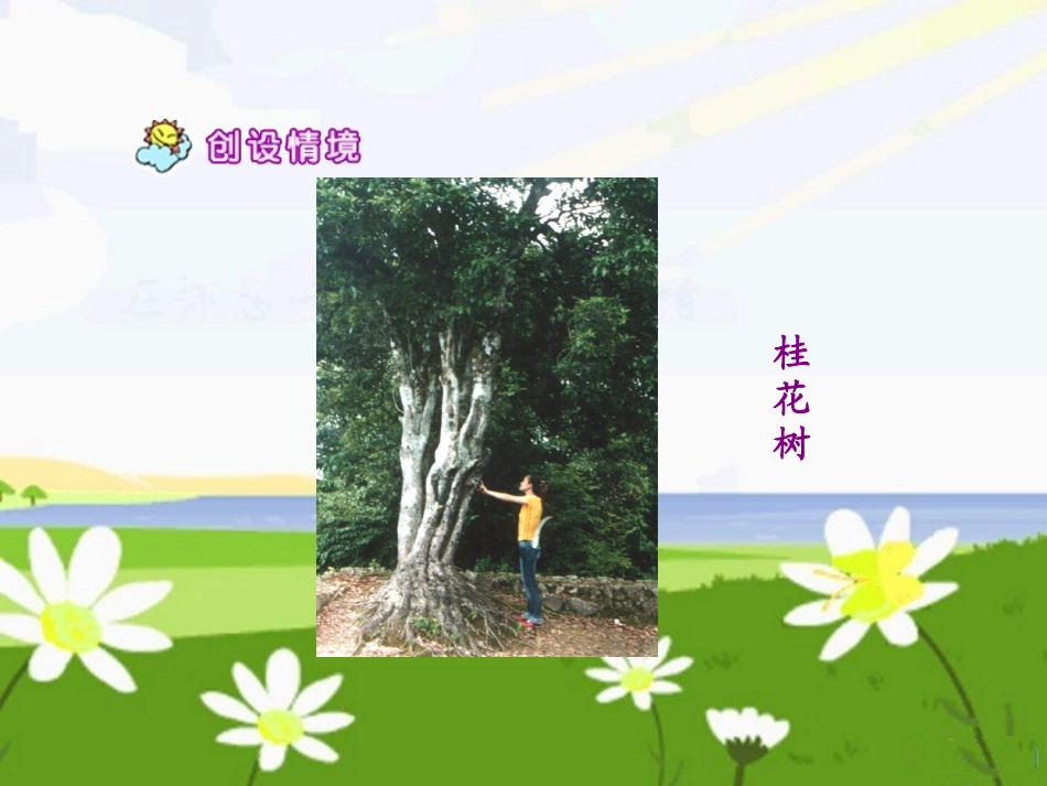 《会走路的树》课件_第2页