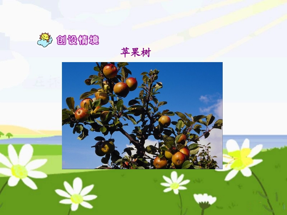 《会走路的树》课件_第3页