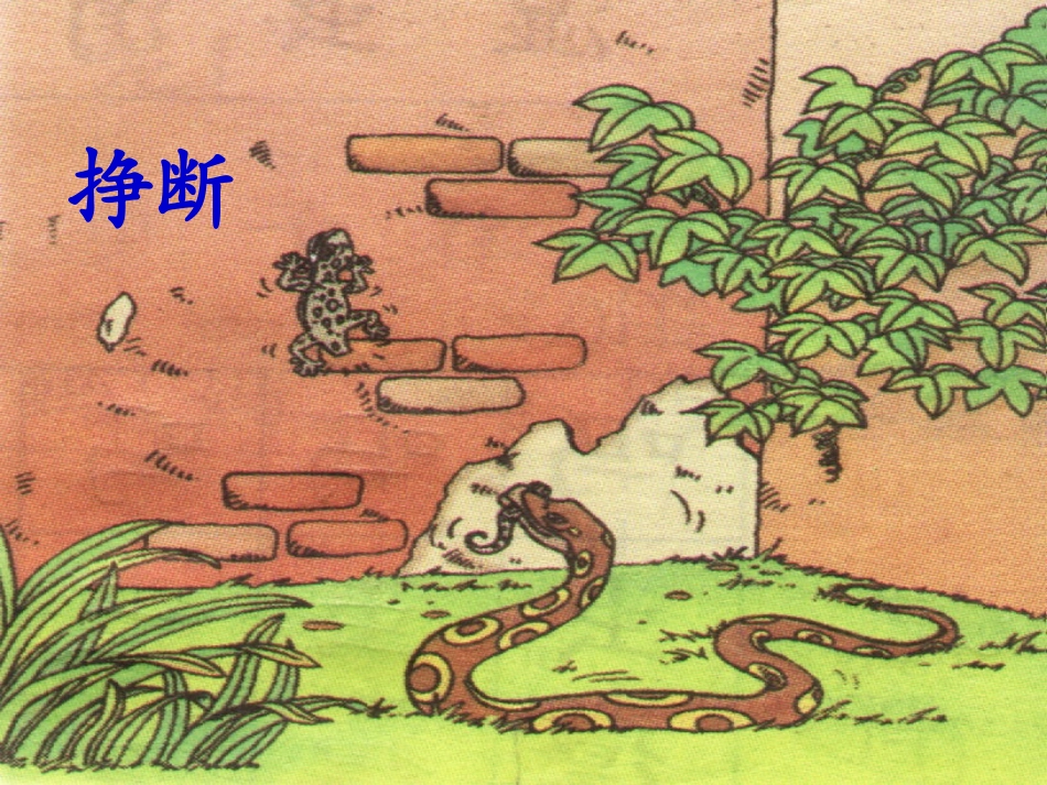 (部编)人教语文2011课标版一年级下册《小壁虎借尾巴》第二课时课件_第3页