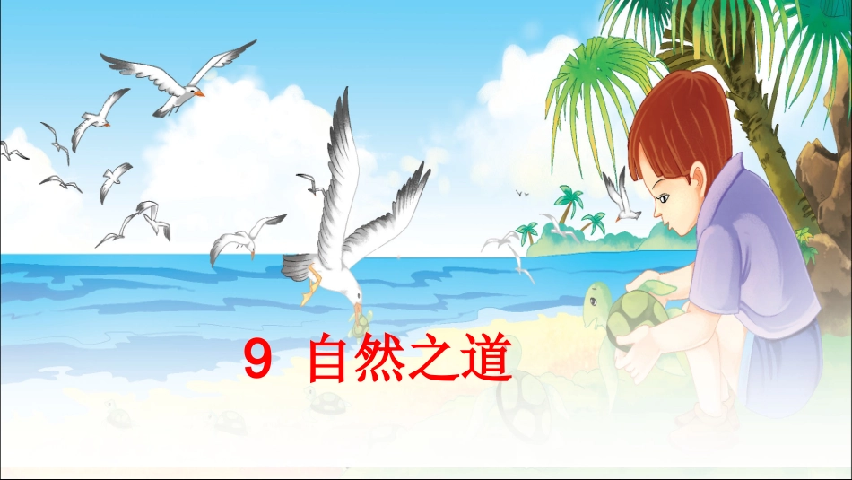 10.自然之道-(2)_第1页