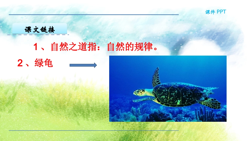 10.自然之道-(2)_第2页