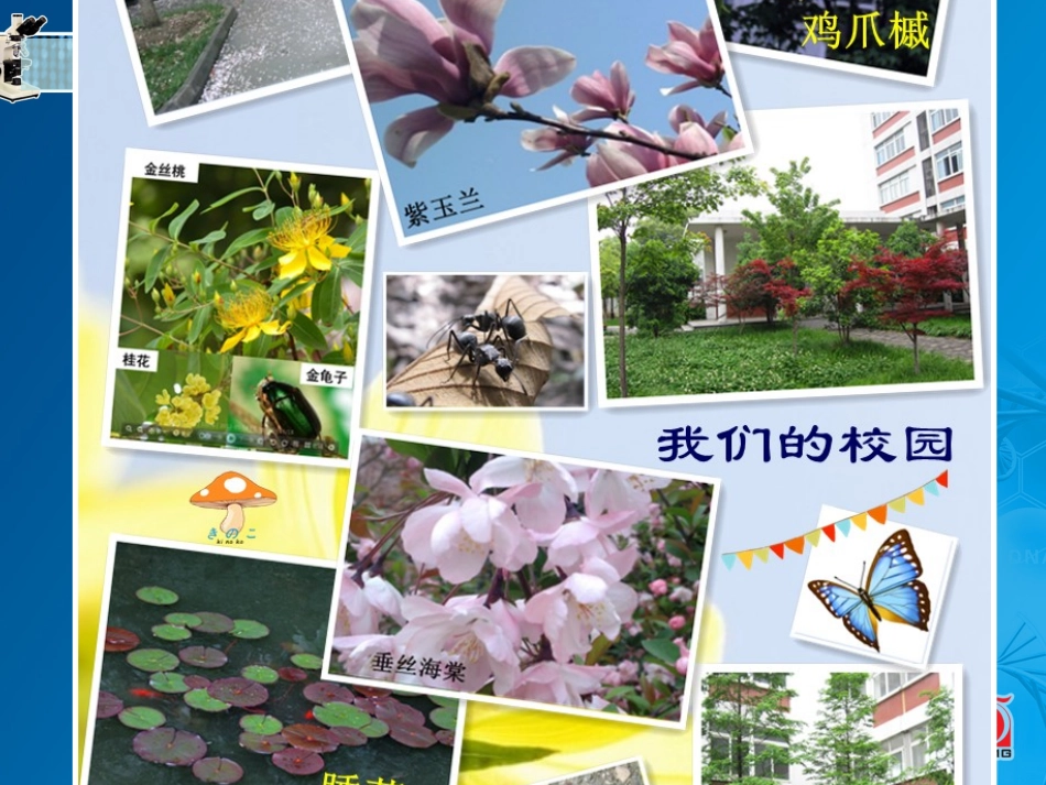 多种多样的生态系统 (2)_第2页