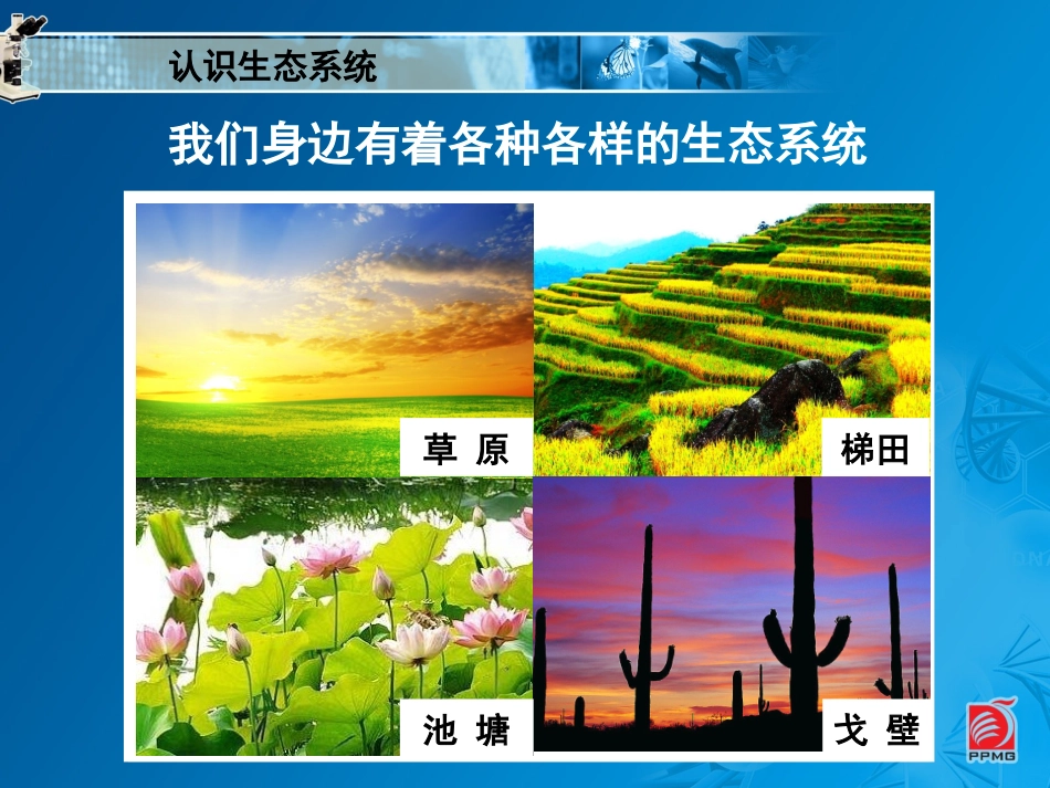 多种多样的生态系统 (2)_第3页