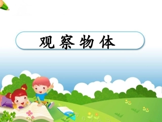 《观察物体》演示课件2