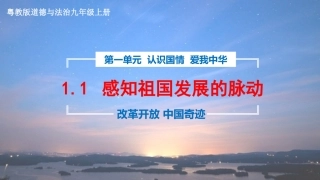 改革开放中国奇迹