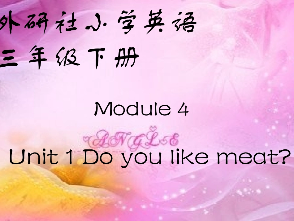 Module4-Unit1-Do-you-like-meat课件_第2页