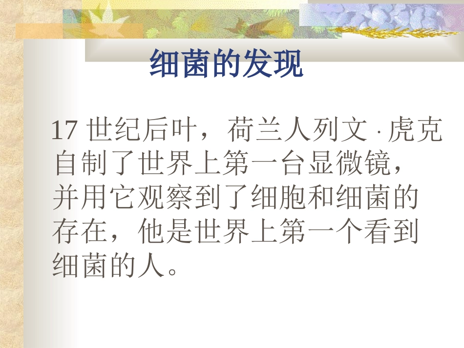 八年级生物细菌_第3页