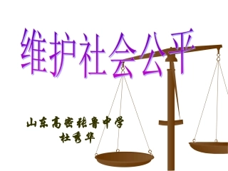 第九课第二框-维护社会公平