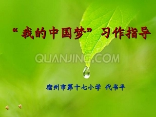我的中国梦》》习作指导