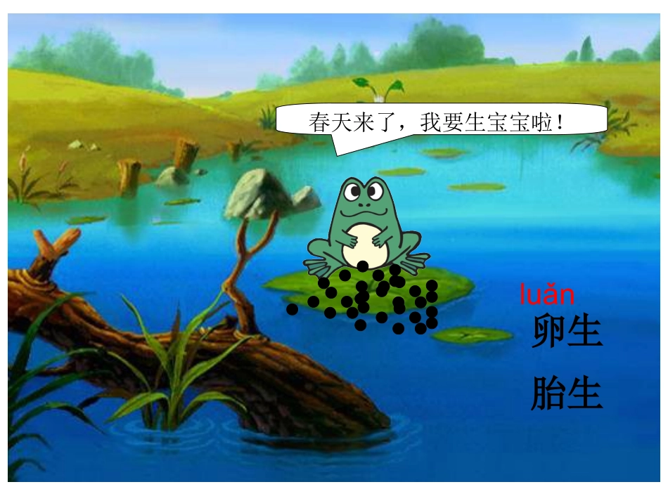 小蝌蚪找妈妈_第2页