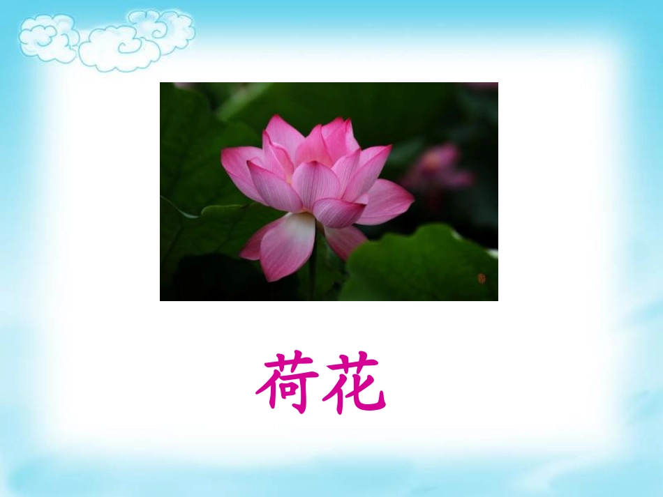 19棉花姑娘_第2页