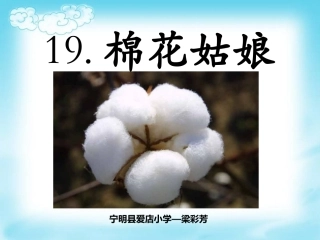19棉花姑娘
