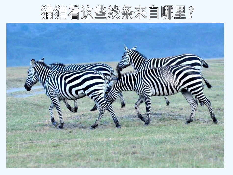 第四课我们身边的线条_第3页