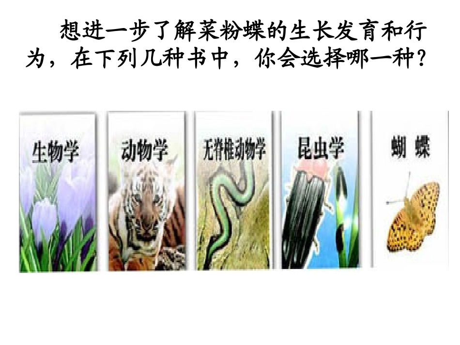 第一节尝试对生物进行分类_第3页