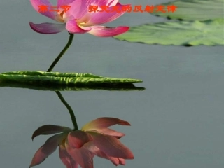 八年级物理研究光的反射