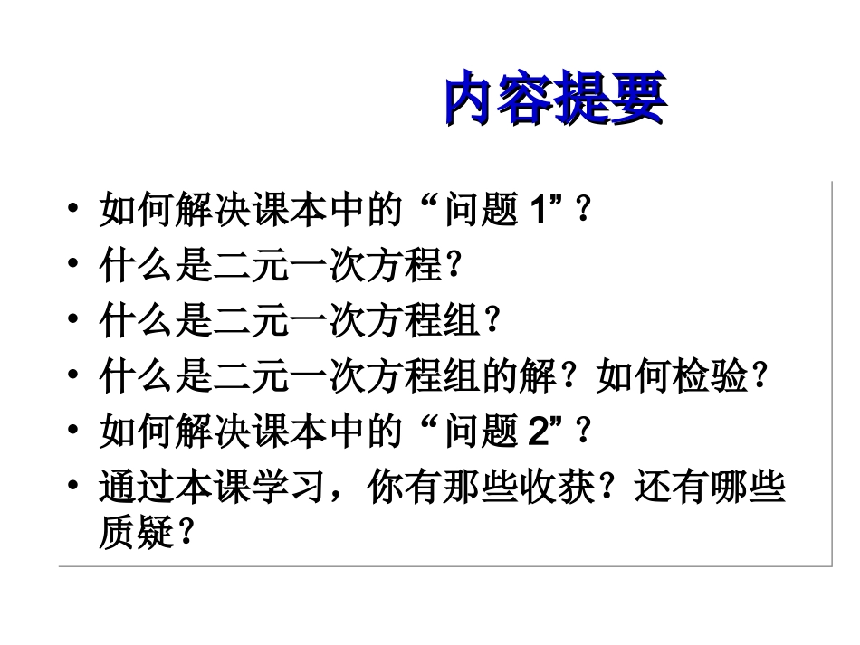10.2二元一次方程组_第3页