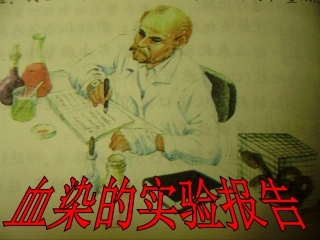 11血染的实验报告