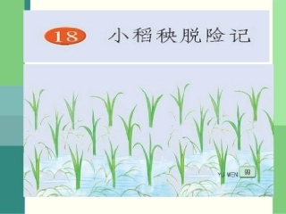 18.小稻秧脱险记