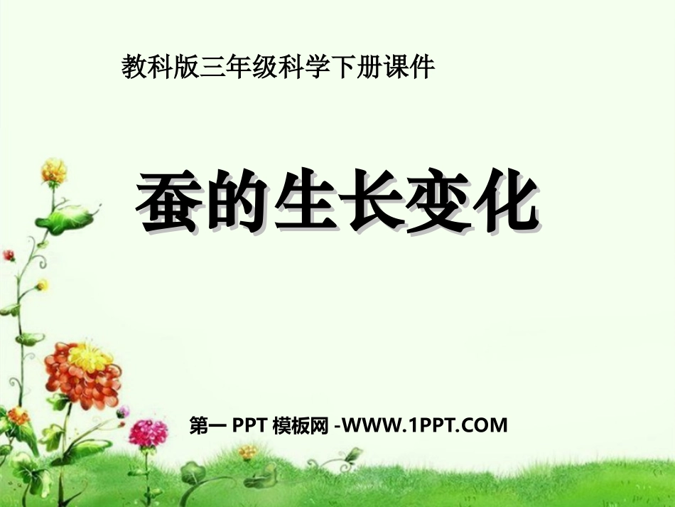 1蚕的生长变化_第1页