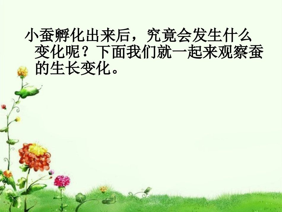 1蚕的生长变化_第2页