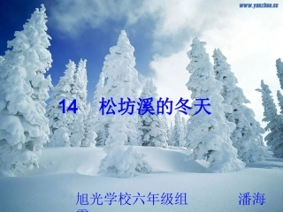 松坊溪的冬天(2)