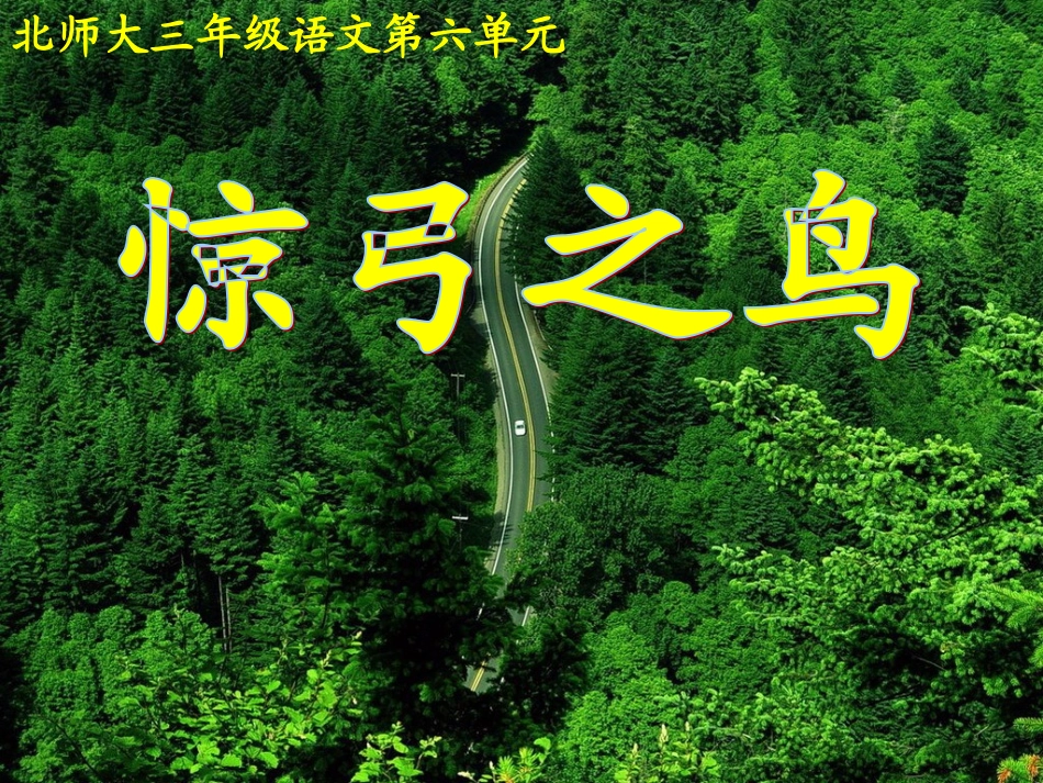 第九周惊弓之鸟2_第3页