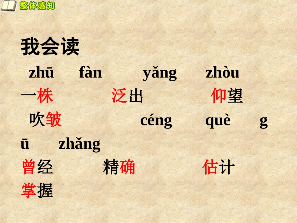 2第一朵杏花-(2)_第2页