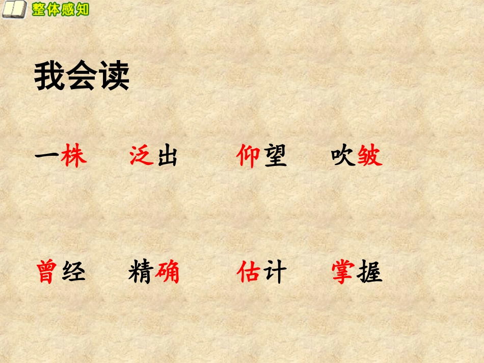 2第一朵杏花-(2)_第3页